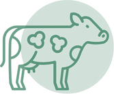 Heart, Immune-boost Beef Tricolor Grains Fuel