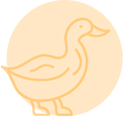 Anti-inflammatory Duck Goji Sensitivity Control